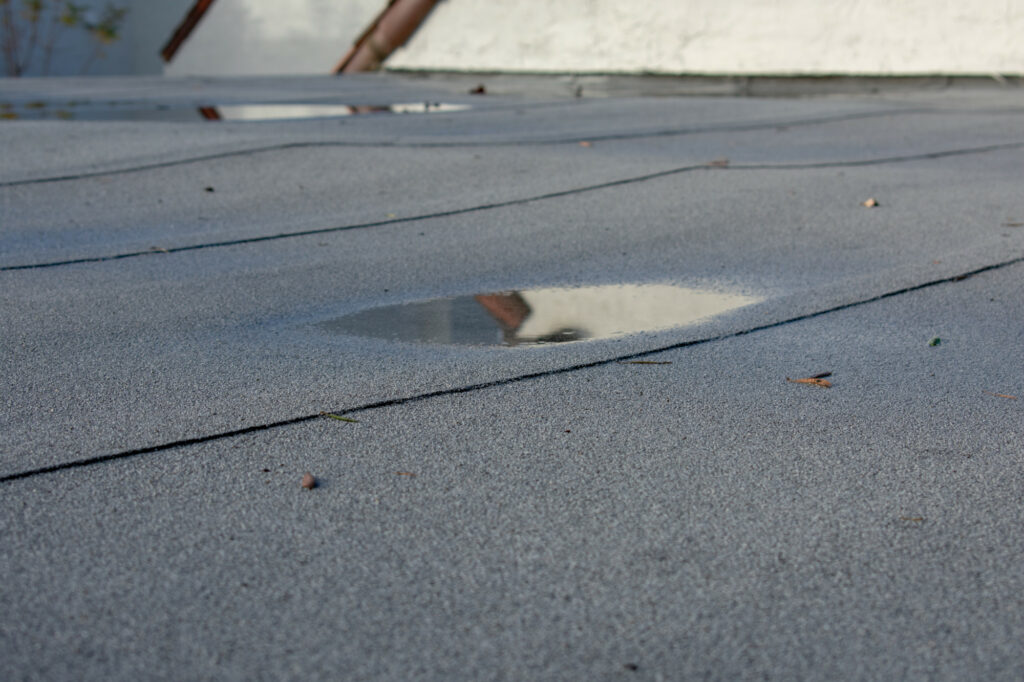 flat roof leak detection