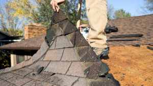 Roof Issues